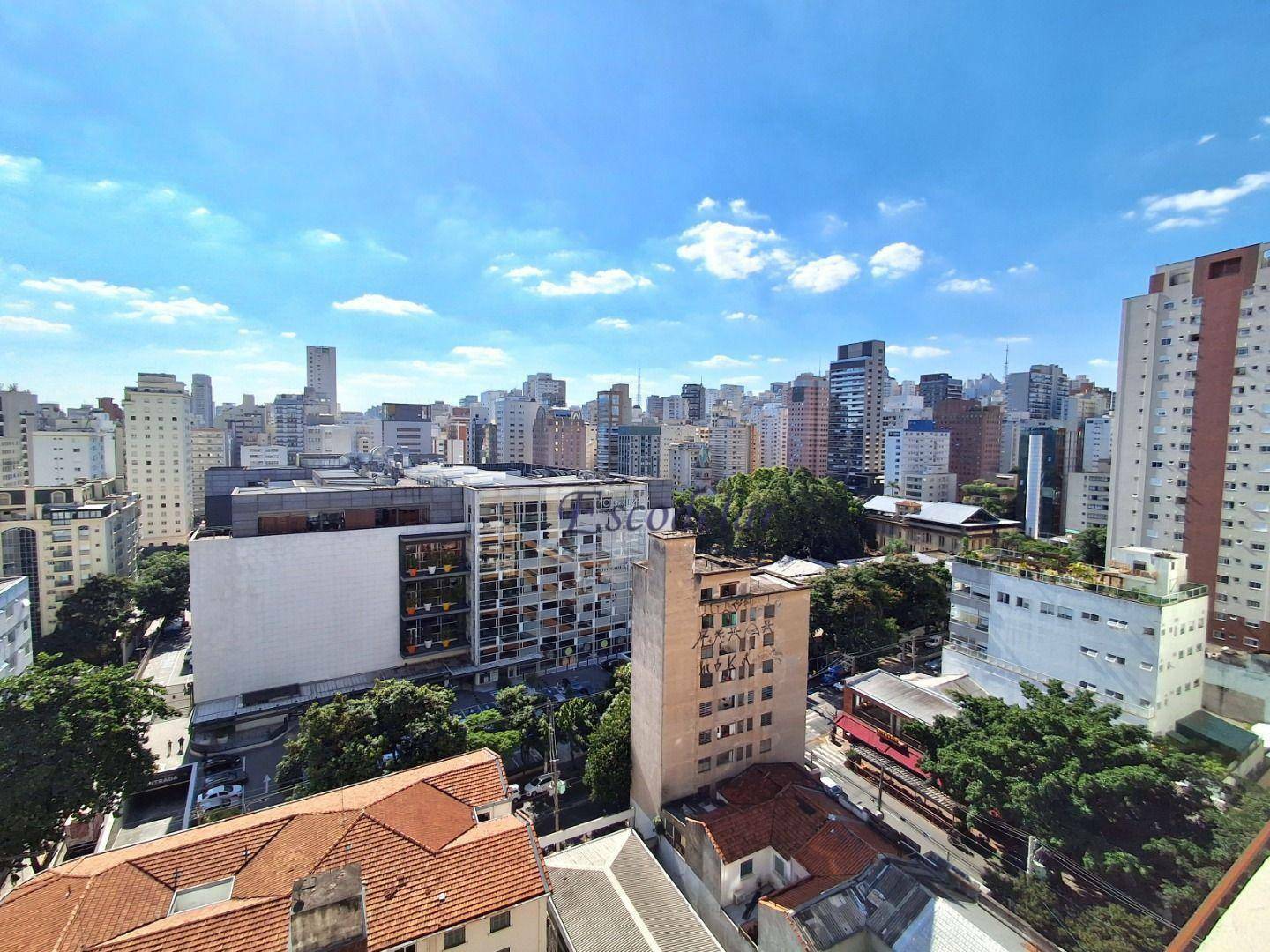 Apartamento à venda com 3 quartos, 245m² - Foto 4