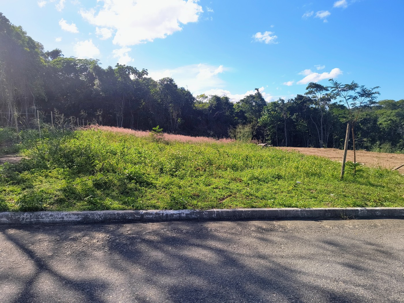 Terreno à venda, 450m² - Foto 2