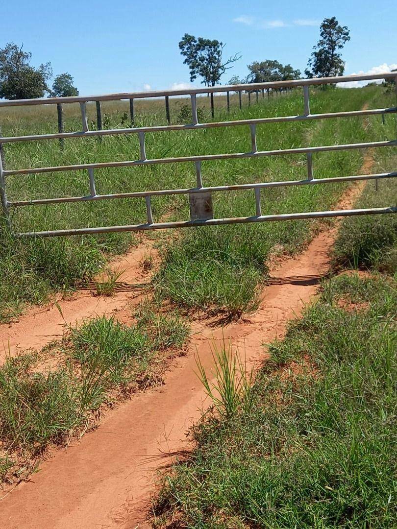 Fazenda-Sítio-Chácara, 1161 hectares - Foto 3