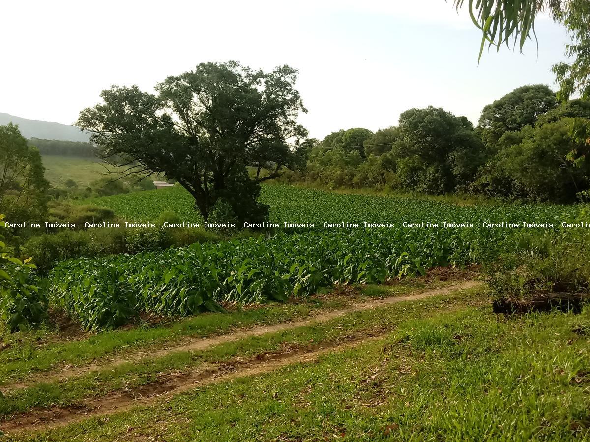 Fazenda à venda com 3 quartos, 60000m² - Foto 32