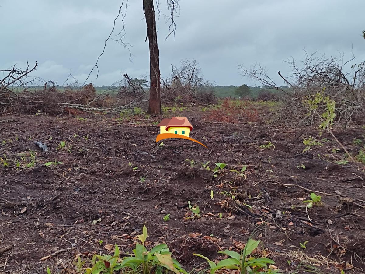 Fazenda à venda, 1m² - Foto 1