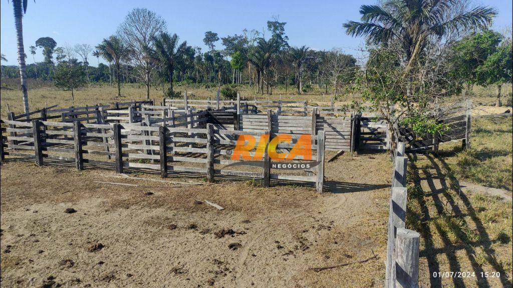 Fazenda-Sítio-Chácara, 104 hectares - Foto 4