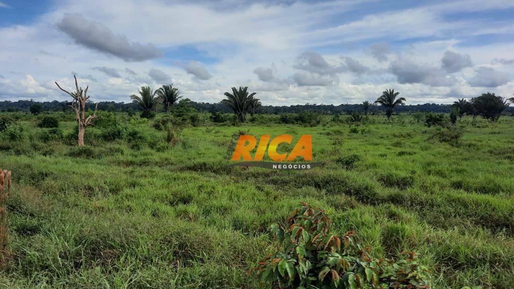 Fazenda à venda, 1000000M2 - Foto 3