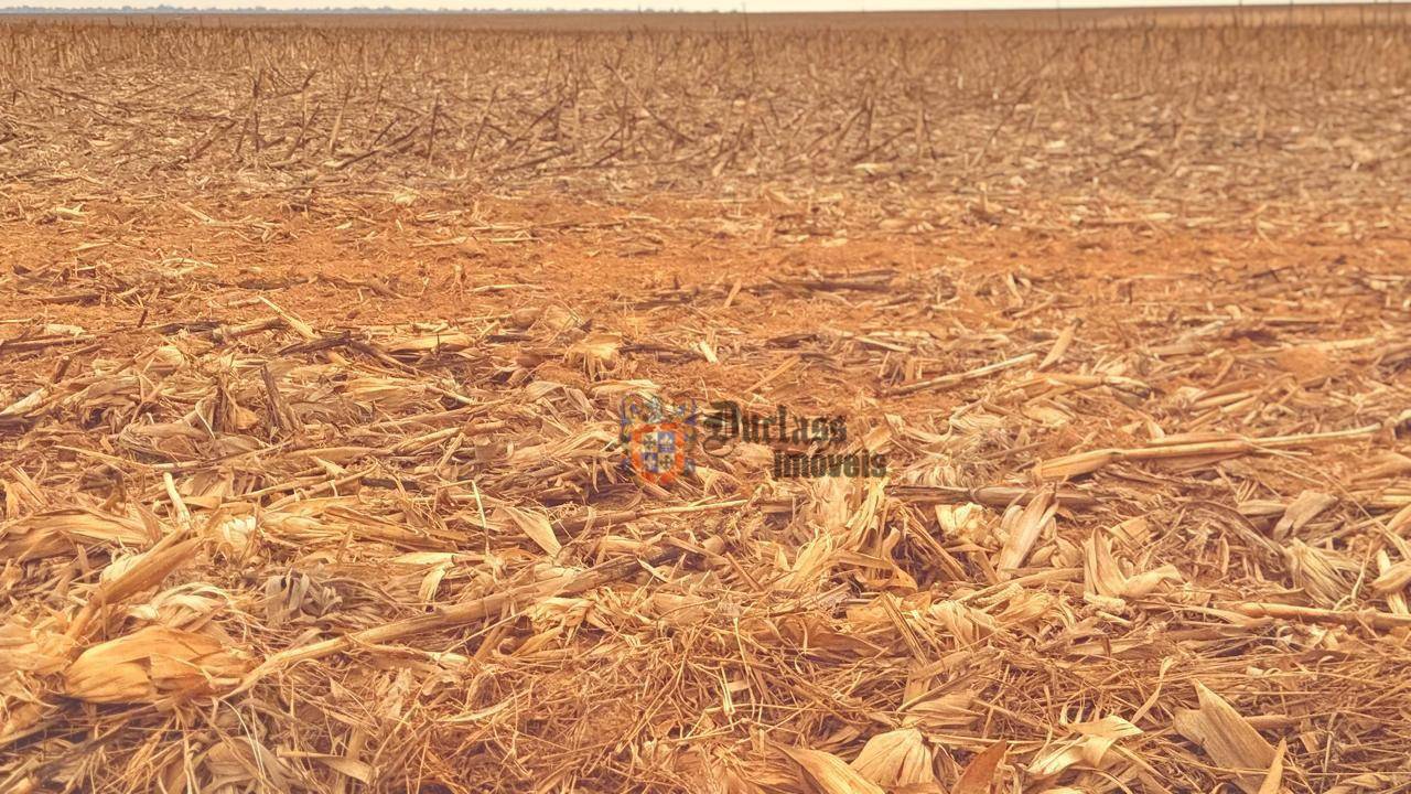 Fazenda, 7236 hectares - Foto 2