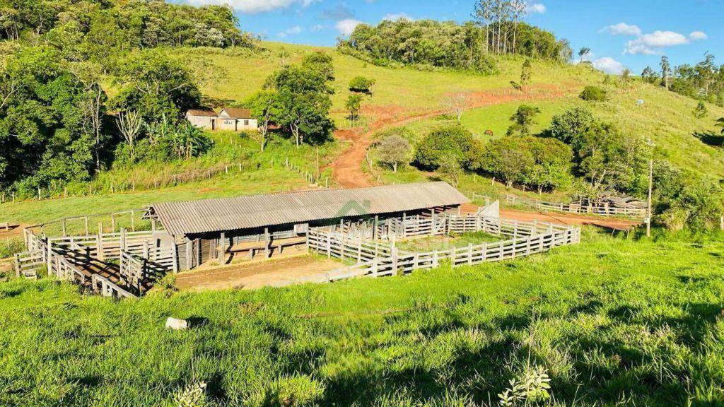 Fazenda, 286 hectares - Foto 17