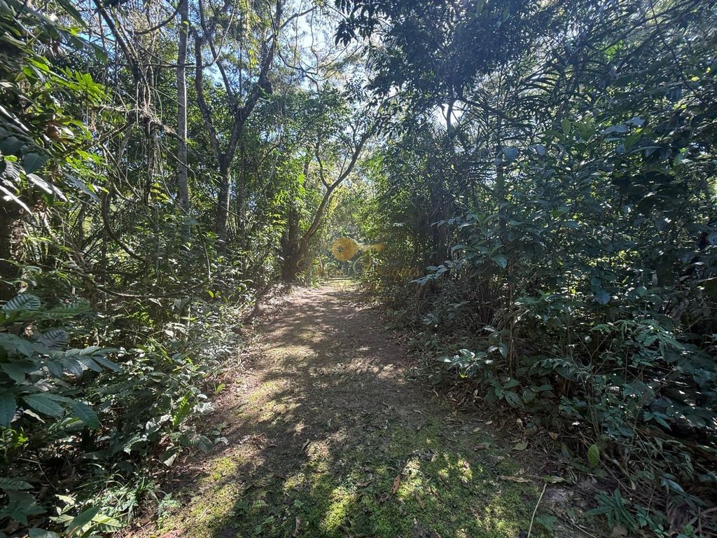 Sítio à venda, 124000m² - Foto 5