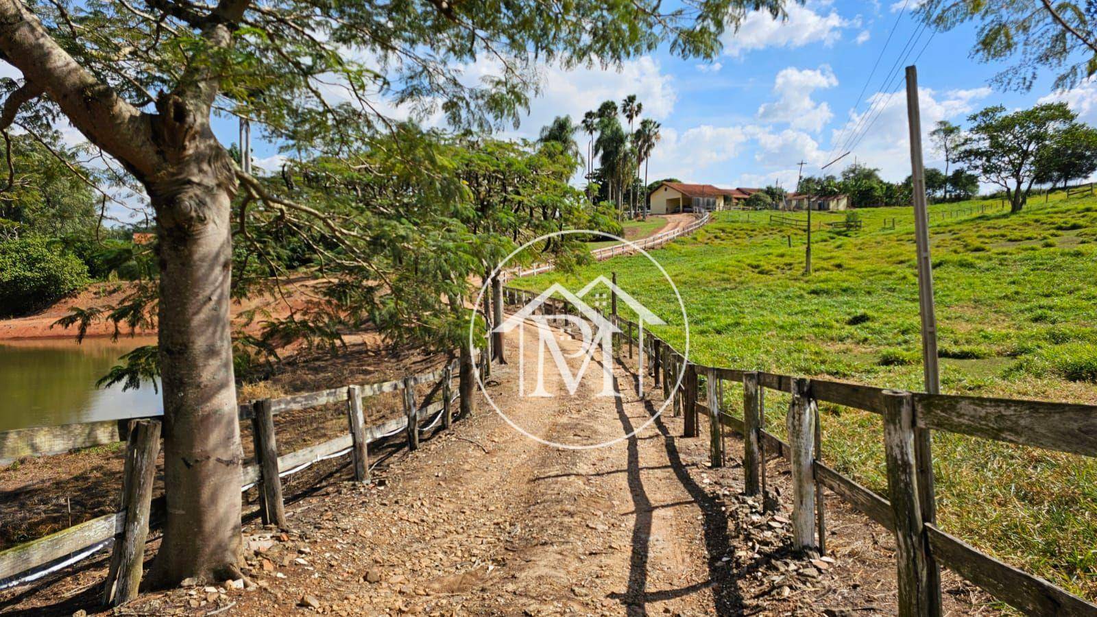 Haras e Área Rural Padrão à venda com 3 quartos, 242000M2 - Foto 24