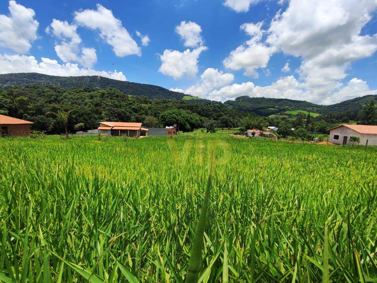 Terreno à venda, 2600M2 - Foto 2