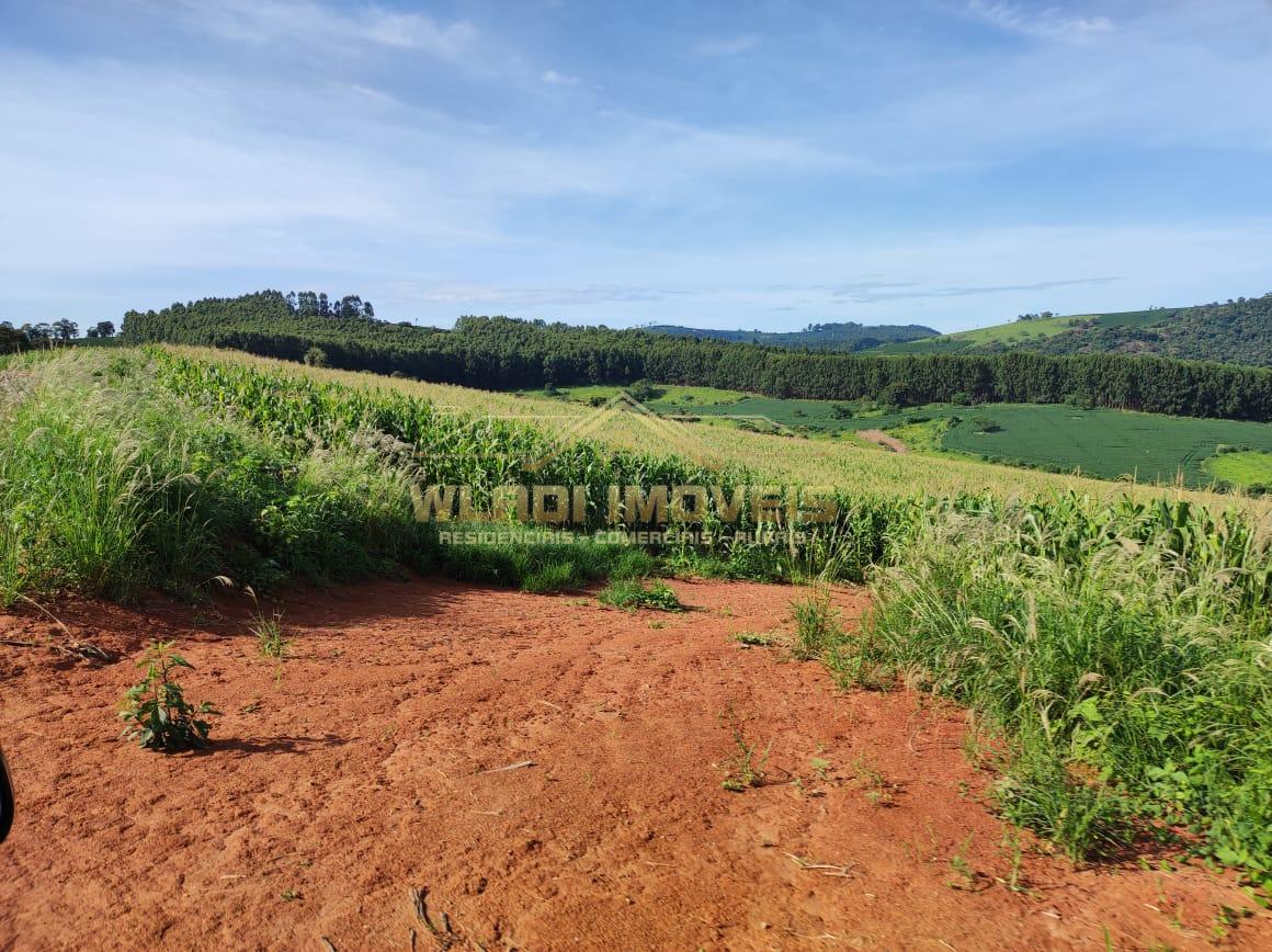 Fazenda à venda, 300m² - Foto 26