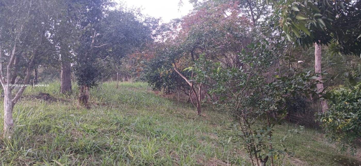 Chácara à venda com 3 quartos, 16000m² - Foto 22