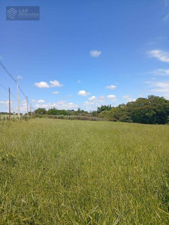 Terreno, 4 hectares - Foto 4