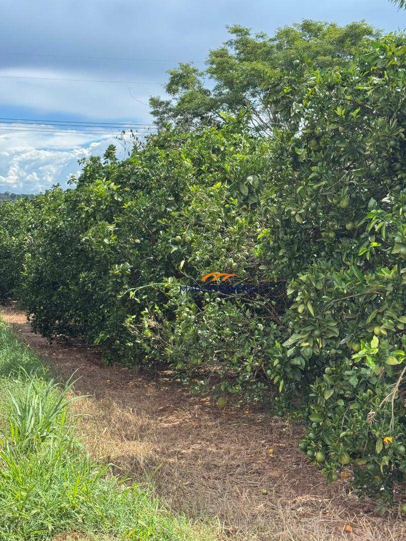 Fazenda à venda, 9776800M2 - Foto 5