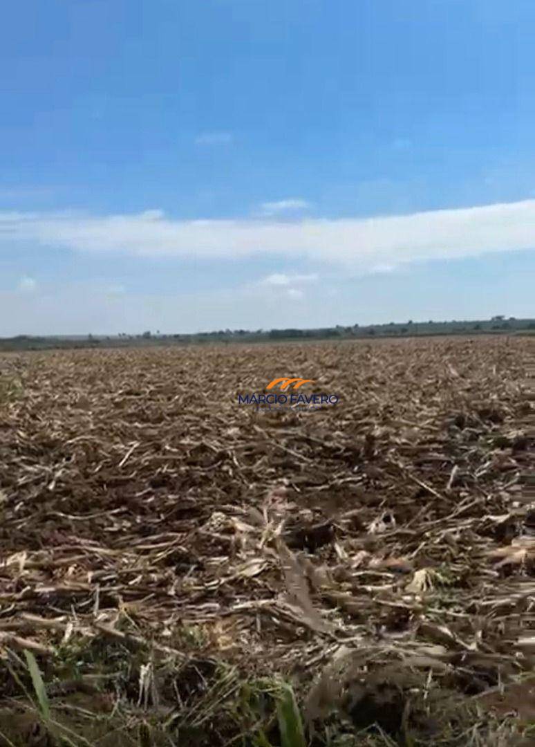 Fazenda, 126 hectares - Foto 1