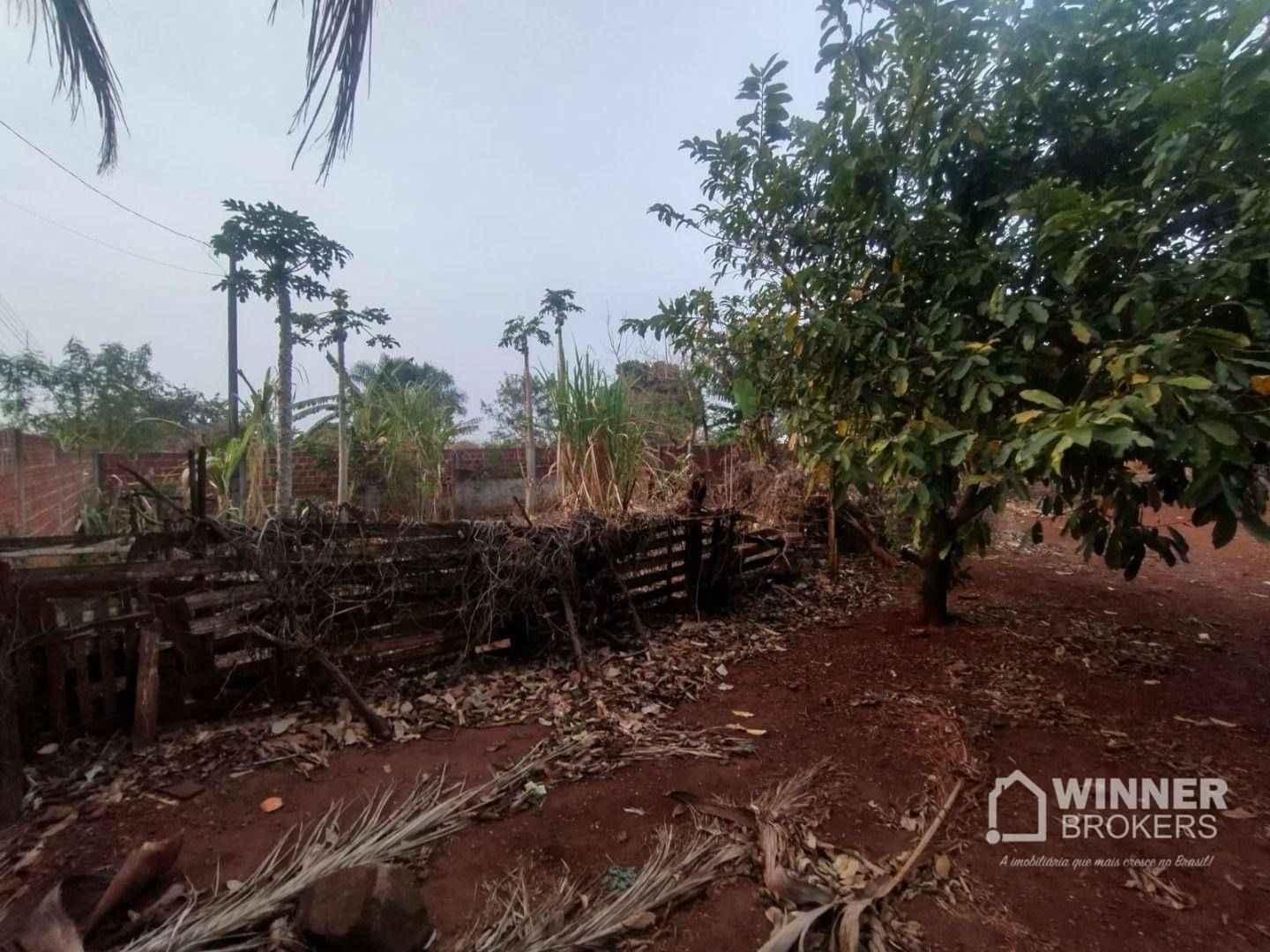 Chácara à venda com 1 quarto, 1000M2 - Foto 2