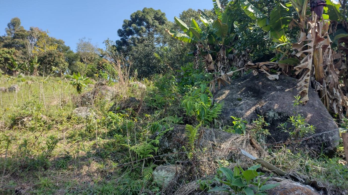 Fazenda à venda, 12040m² - Foto 3