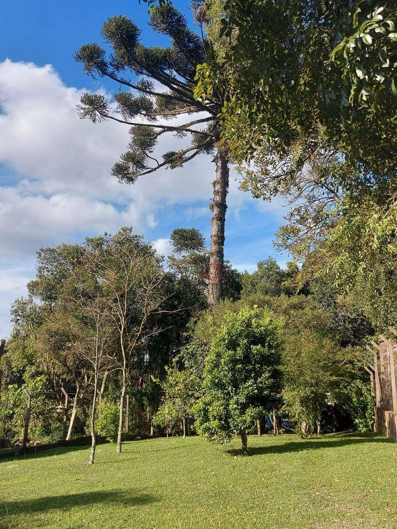 Terreno à venda, 456M2 - Foto 5