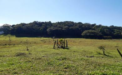 Fazenda à venda com 2 quartos, 270000m² - Foto 13