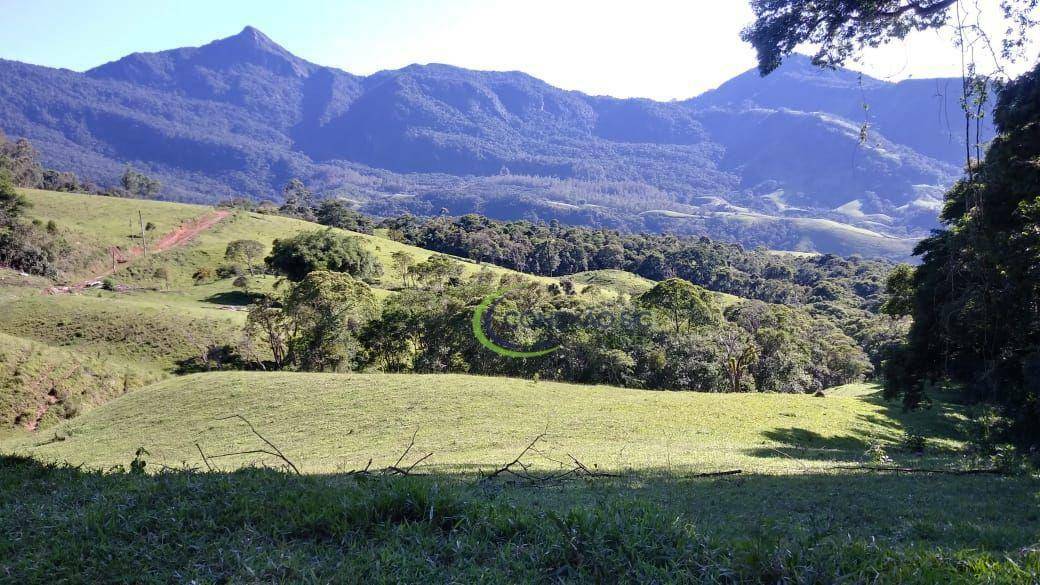 Fazenda à venda com 3 quartos, 2970000M2 - Foto 33