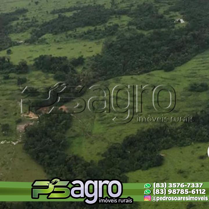 Fazenda-Sítio-Chácara, 149515 hectares - Foto 2