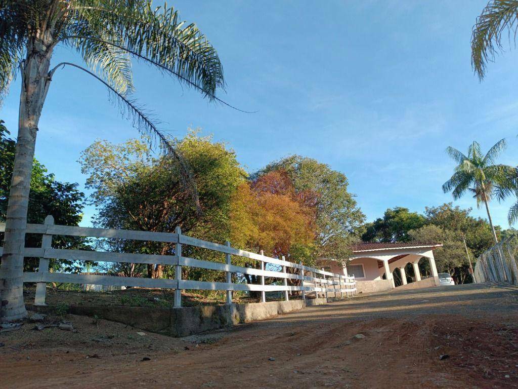 Sítio, 10 hectares - Foto 14