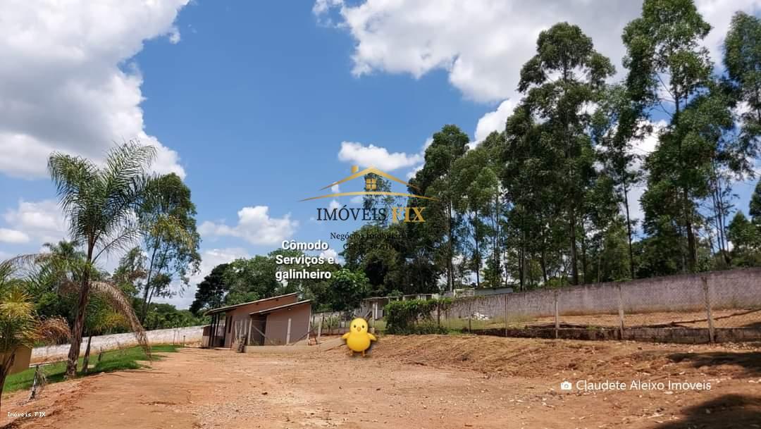 Fazenda à venda com 5 quartos, 500m² - Foto 48