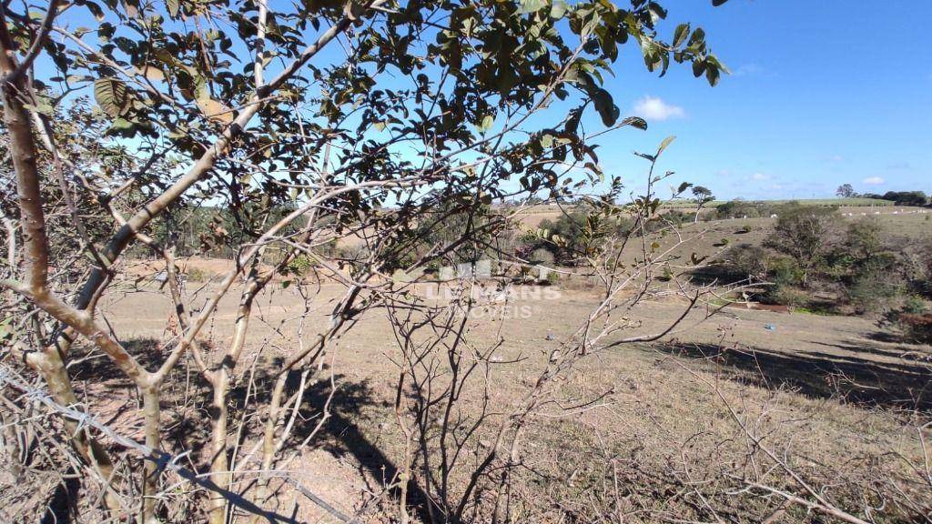 Sítio, 9 quartos, 2 hectares - Foto 76