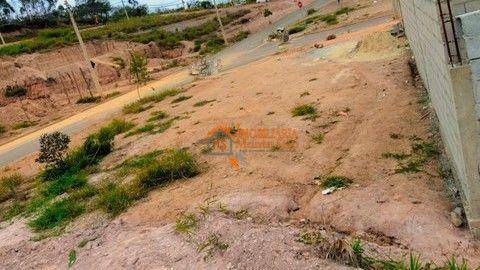 Terreno à venda, 236M2 - Foto 6