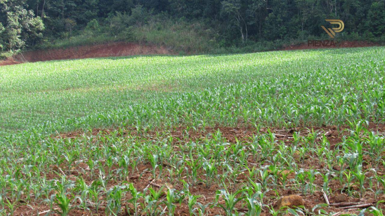 Terreno à venda, 98000M2 - Foto 26