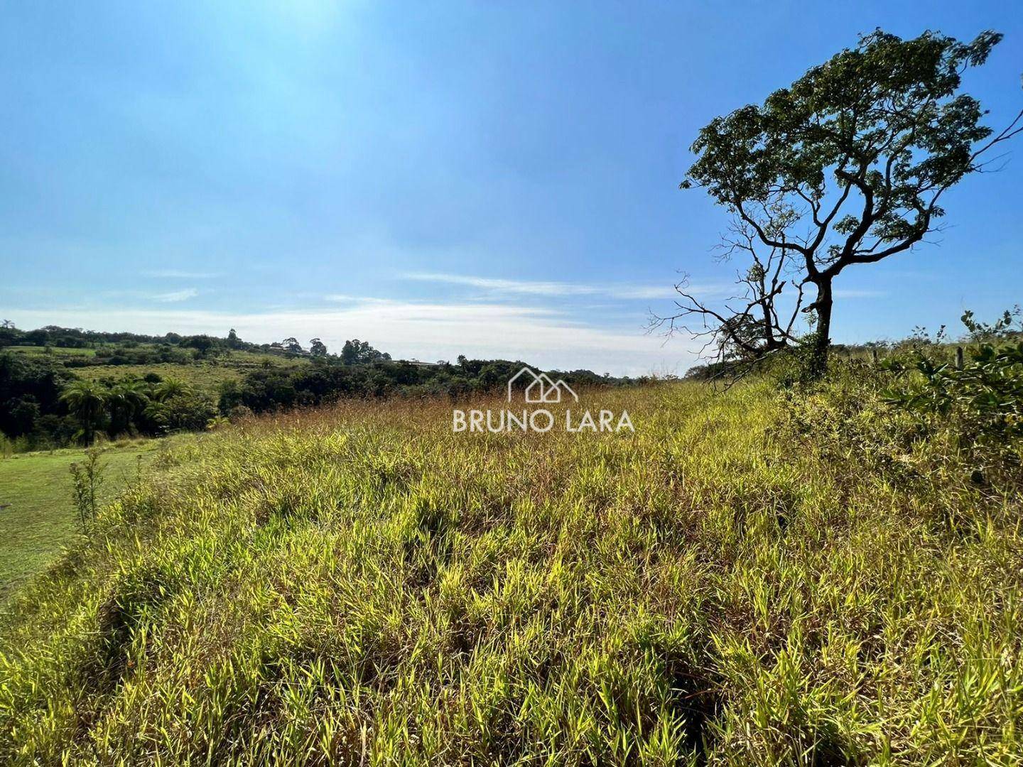 Fazenda à venda com 6 quartos, 1200m² - Foto 5