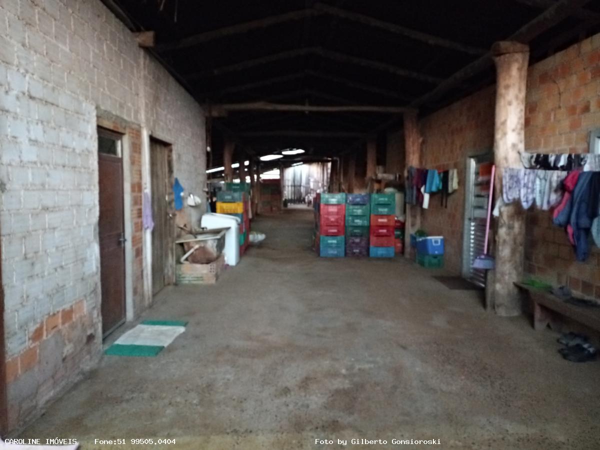 Sítio à venda com 3 quartos, 586000m² - Foto 10