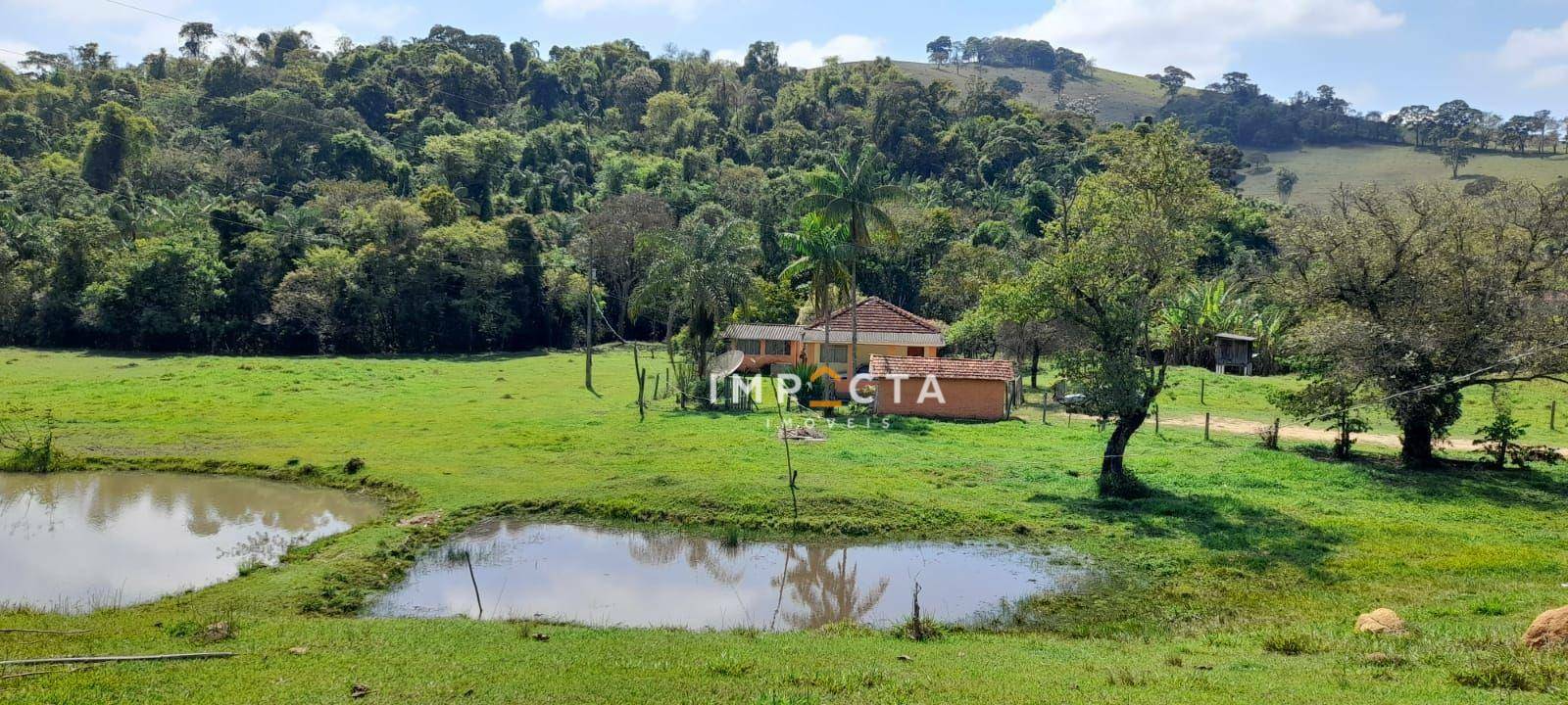 Chácara à venda com 3 quartos, 12000M2 - Foto 6