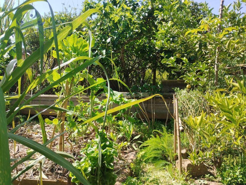 Chácara, 750 m² - Foto 19