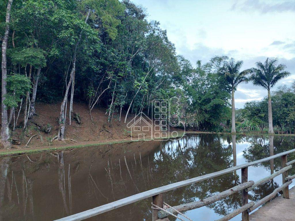 Fazenda-Sítio-Chácara, 3 hectares - Foto 4