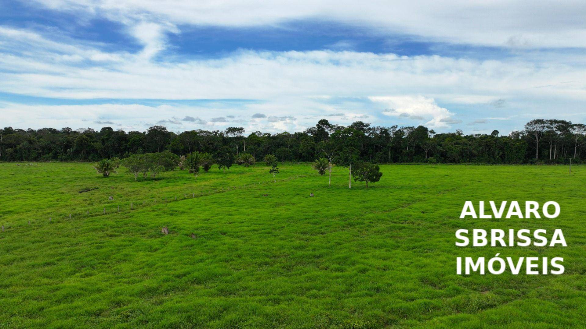 Fazenda-Sítio-Chácara, 1888 hectares - Foto 4