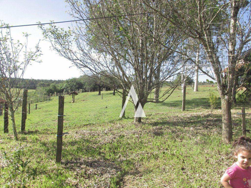 Casa à venda com 3 quartos, 120000M2 - Foto 55