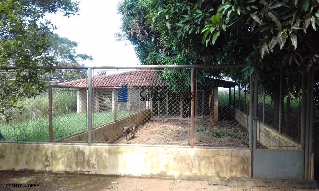 Fazenda à venda com 4 quartos, 300m² - Foto 16