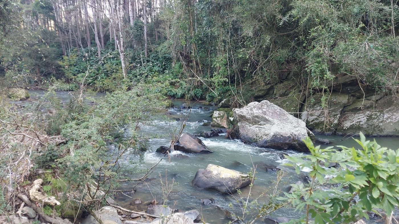 Fazenda à venda com 3 quartos, 140000m² - Foto 17