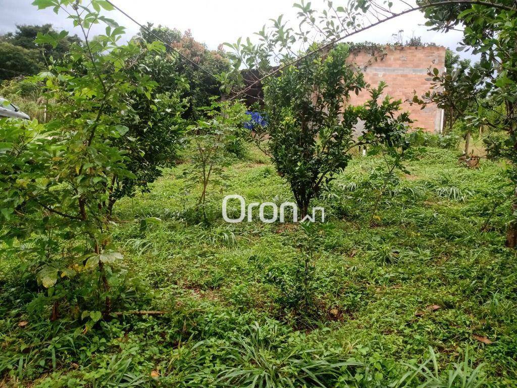 Chácara à venda com 3 quartos, 4000M2 - Foto 7