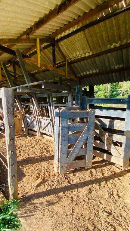 Fazenda, 286 hectares - Foto 15