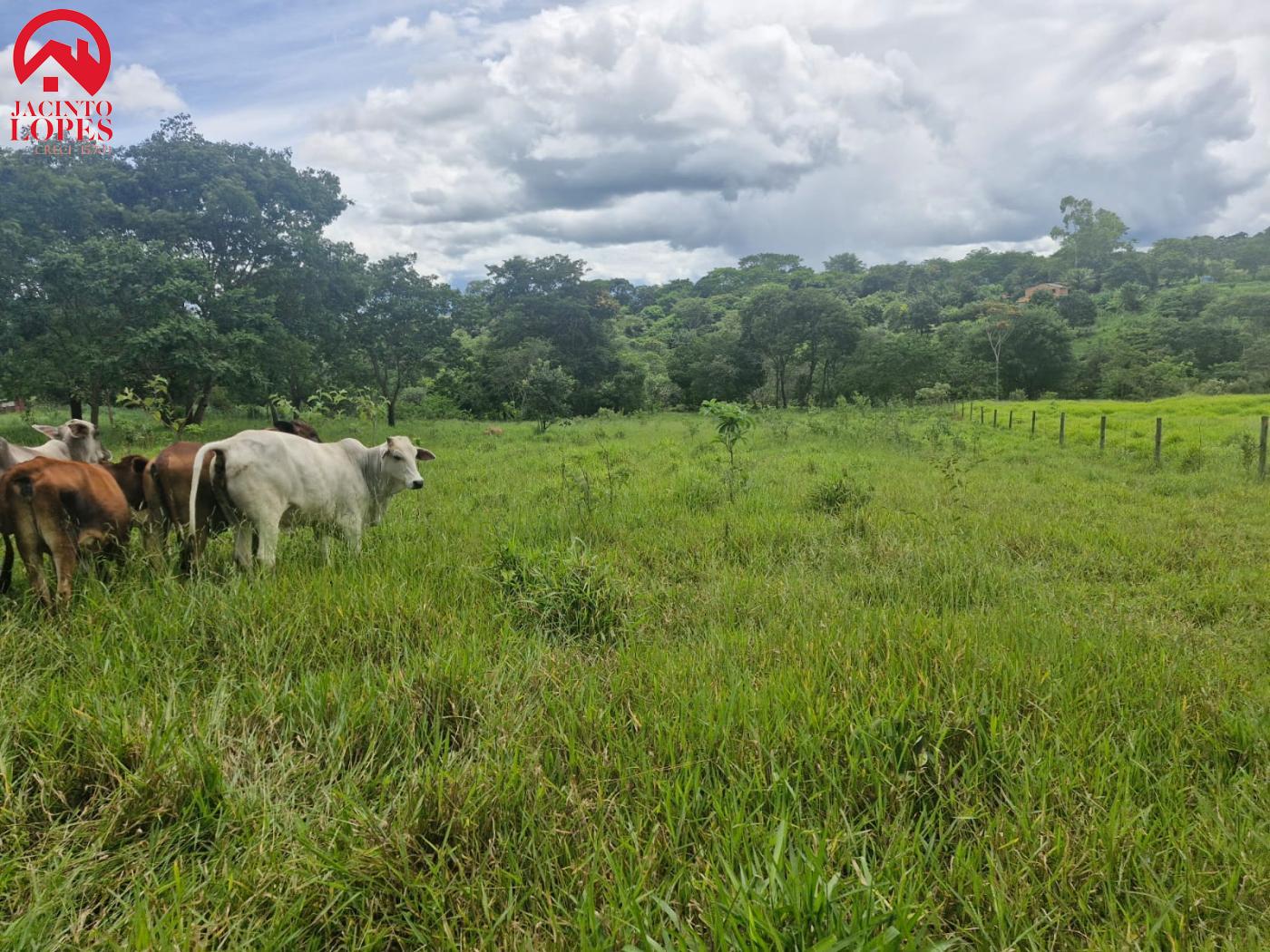 Fazenda à venda com 2 quartos, 120m² - Foto 37