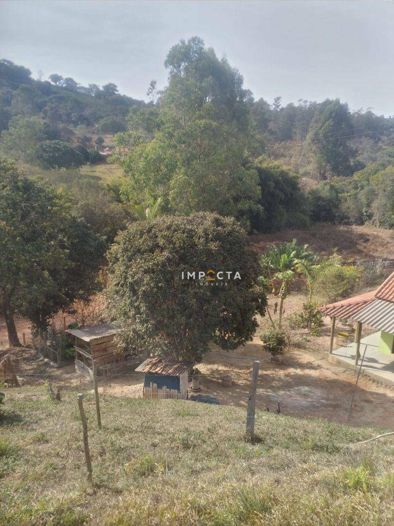 Chácara à venda com 2 quartos, 12100M2 - Foto 23