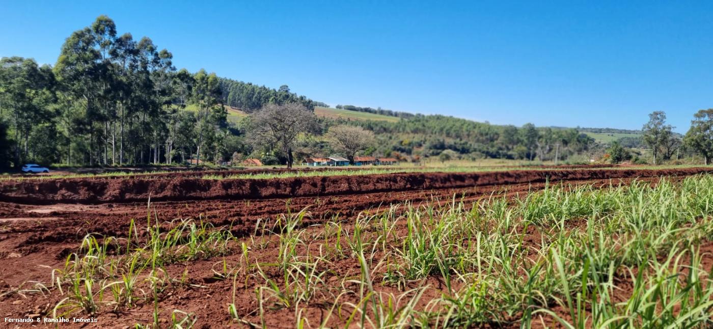 Fazenda à venda, 10m² - Foto 8