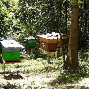 Fazenda-Sítio-Chácara, 20 m² - Foto 15