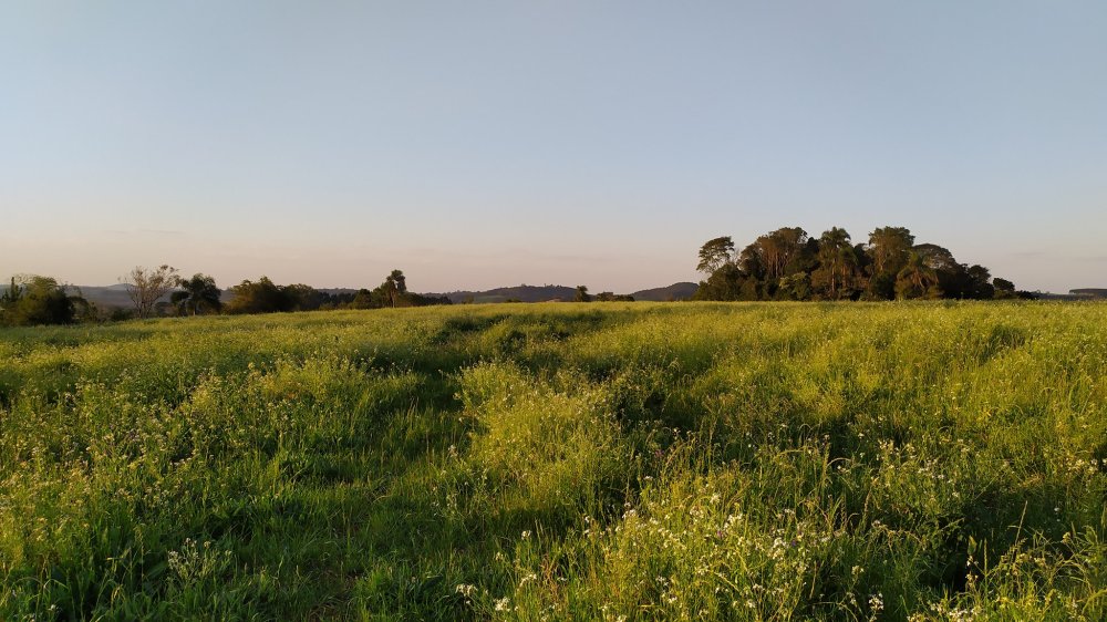 Fazenda à venda, 60m² - Foto 7