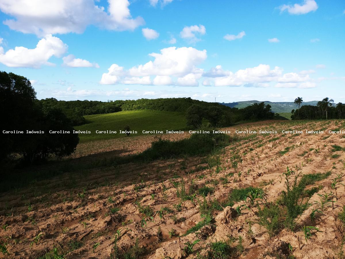 Fazenda à venda, 250000m² - Foto 27