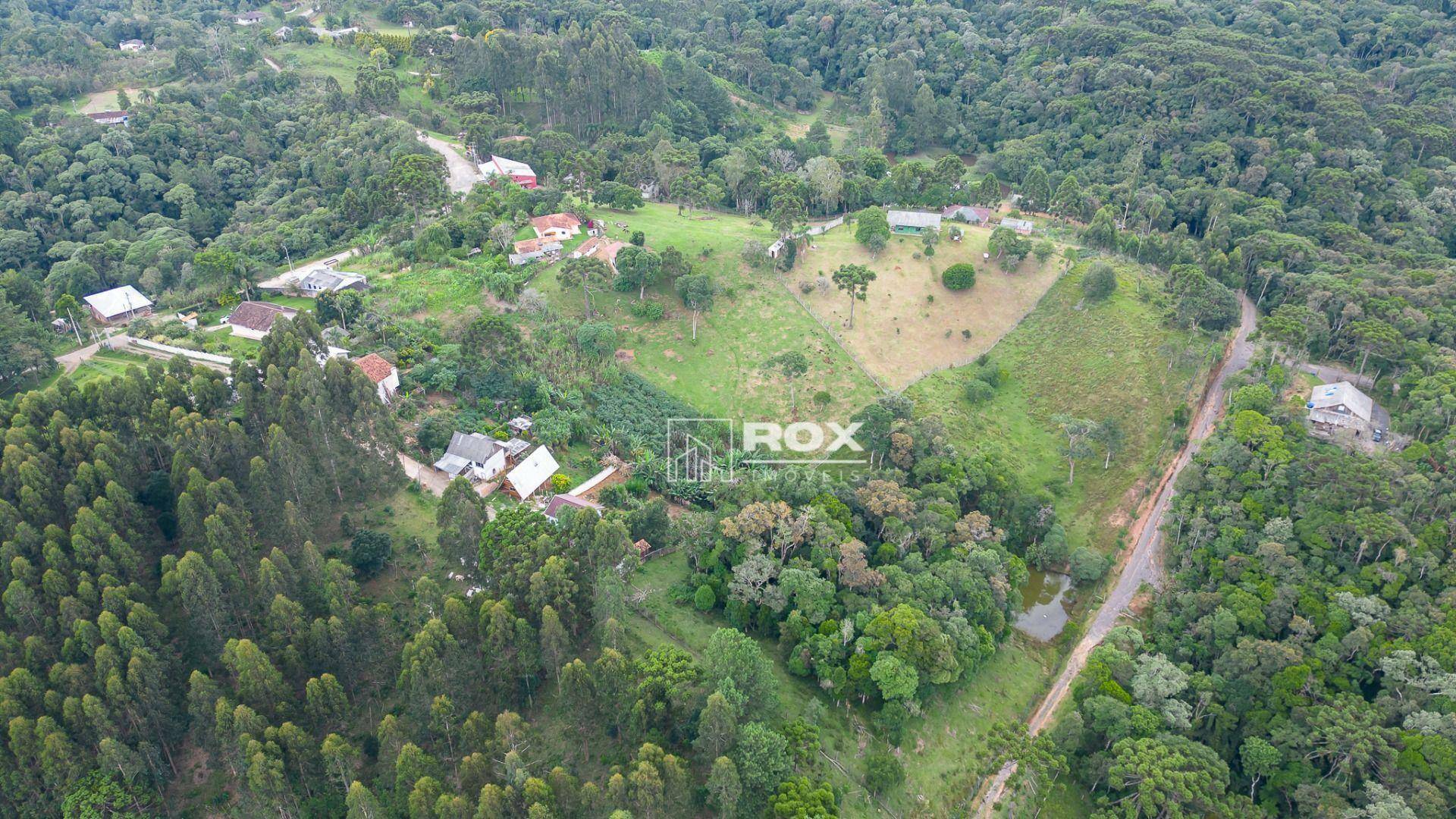 Chácara à venda com 10 quartos, 34360M2 - Foto 13