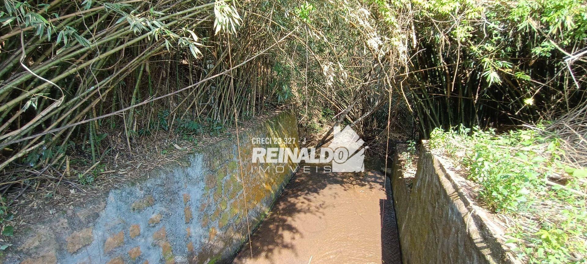 Haras e Área Rural Padrão à venda com 16 quartos, 2500m² - Foto 188