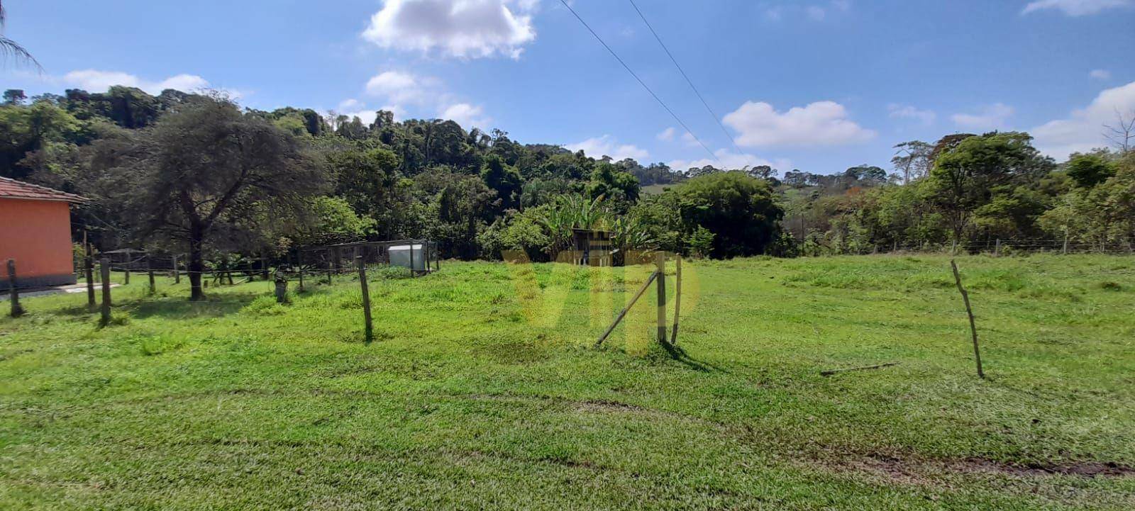 Chácara à venda com 3 quartos, 4000M2 - Foto 3