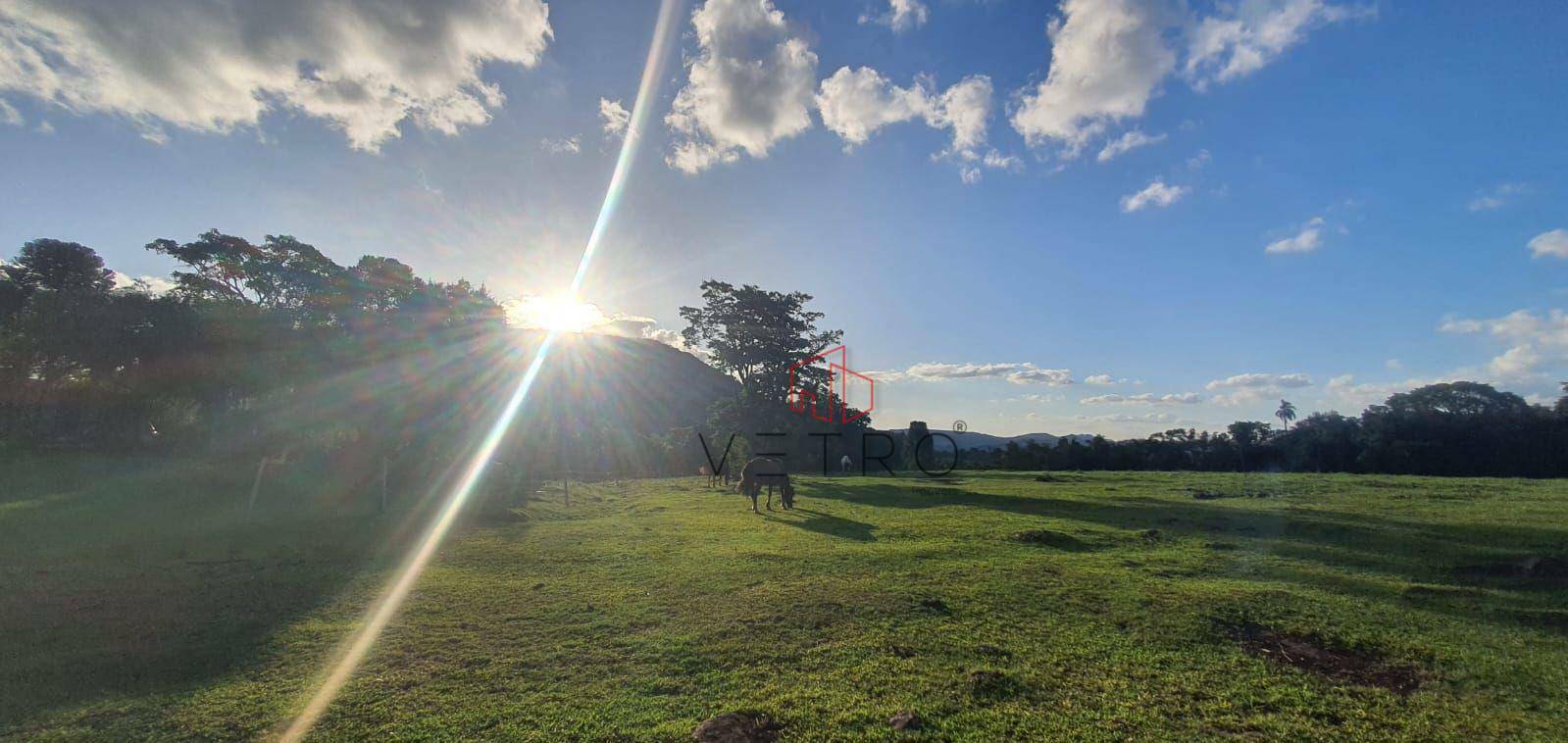 Sítio à venda com 4 quartos, 240000M2 - Foto 8