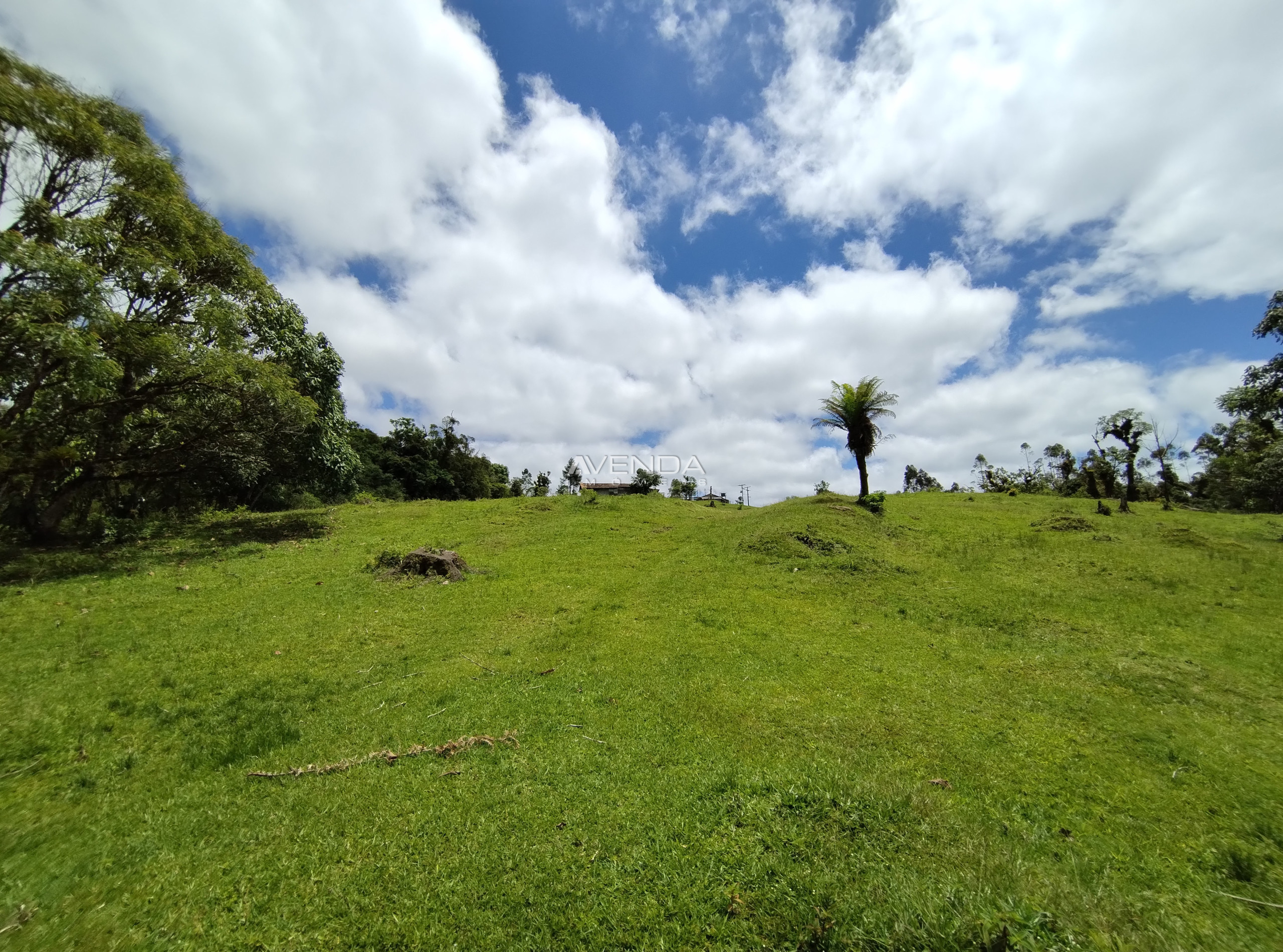 Fazenda à venda com 6 quartos, 208036m² - Foto 13